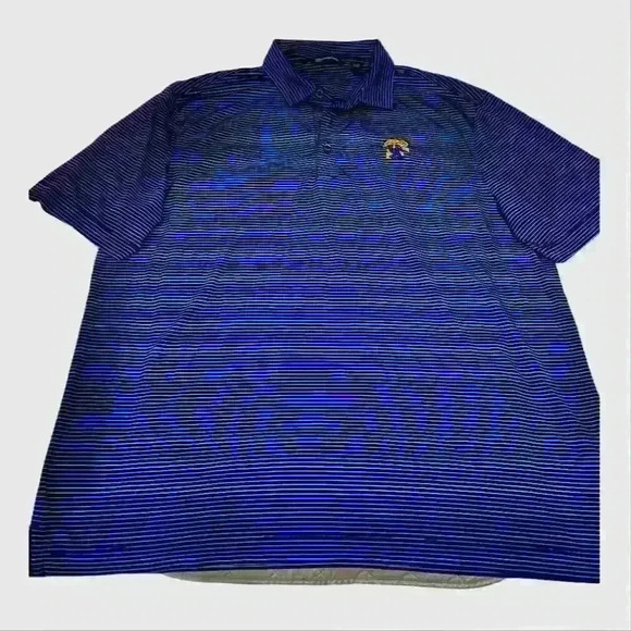 Cutter & Buck University of Kentucky Logo Men's XL Blue Striped Golf Polo Shirt - Picture 1 of 4